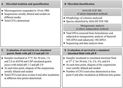 Analysis of the microbial content of probiotic products commercialized worldwide and survivability in conditions mimicking the human gut environment